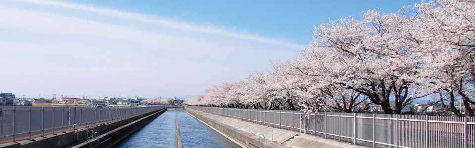 千本桜武蔵水路