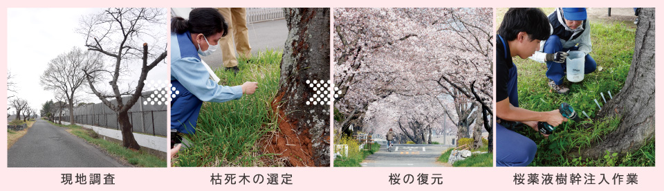 千本桜武蔵水路