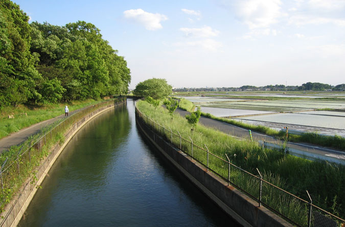 通常時の見沼代用水路