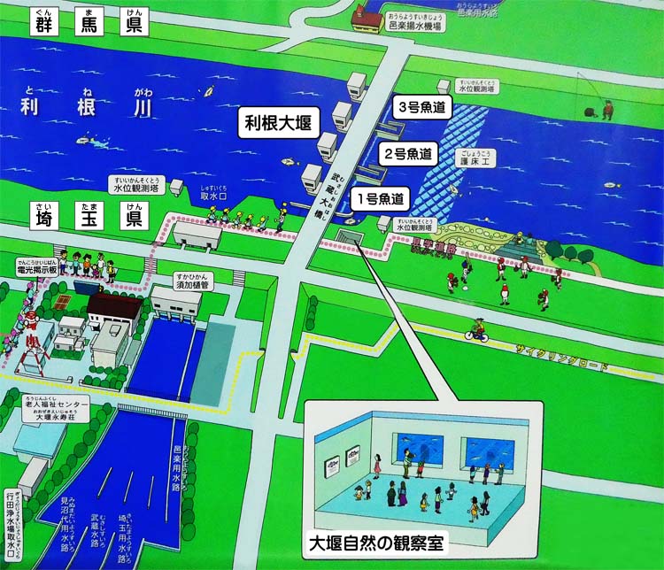 大堰自然の観察室周辺地図