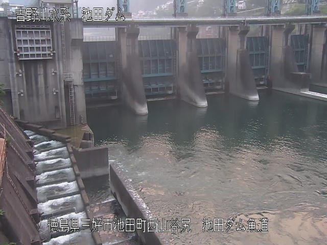 池田ダム魚道 カメラ画像