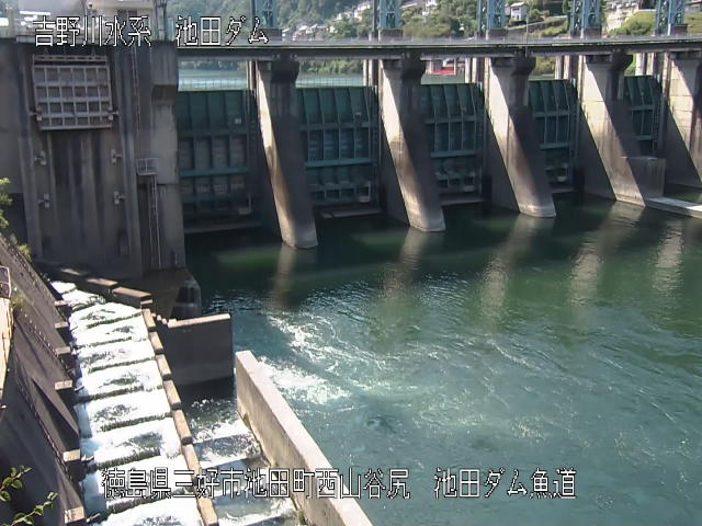 池田ダム魚道 カメラ画像