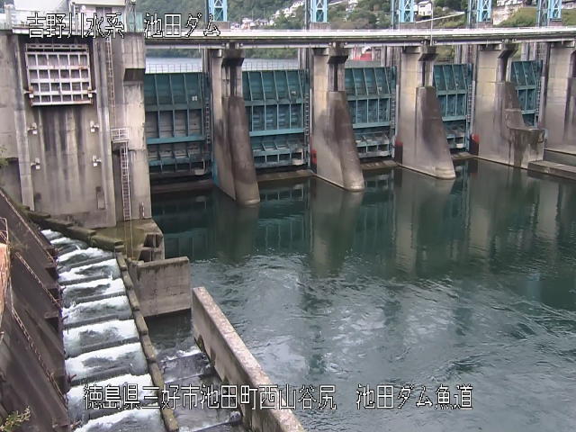 池田ダム魚道 カメラ画像