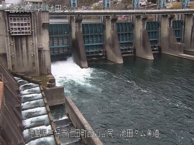 池田ダム魚道 カメラ画像
