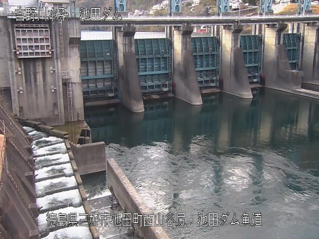池田ダム魚道 カメラ画像