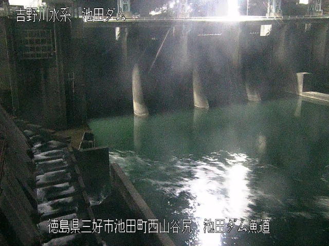 池田ダム魚道 カメラ画像