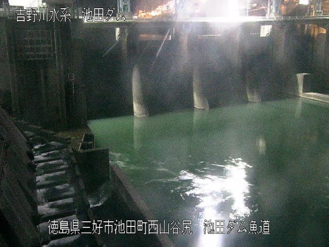 池田ダム魚道 カメラ画像