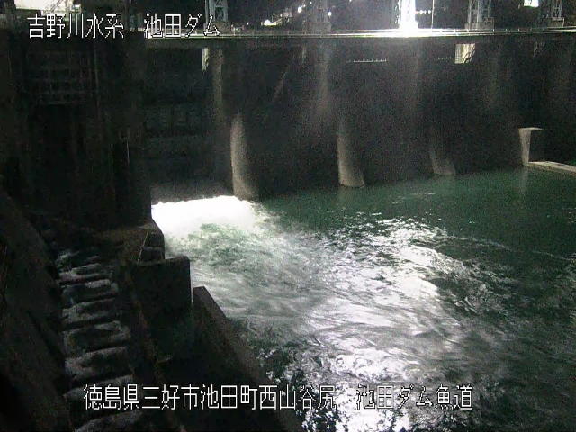 池田ダム魚道 カメラ画像