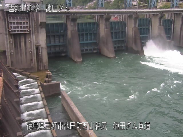 池田ダム魚道 カメラ画像