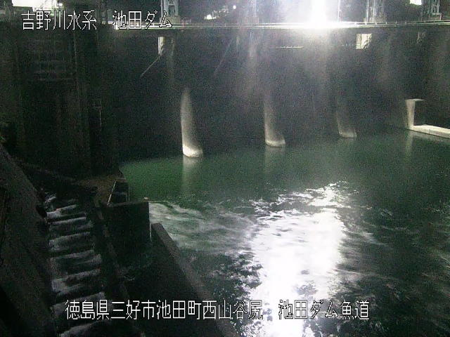 池田ダム魚道 カメラ画像