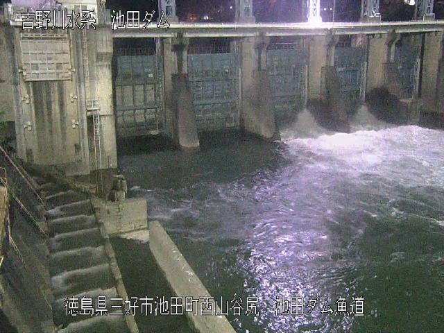 池田ダム魚道 カメラ画像
