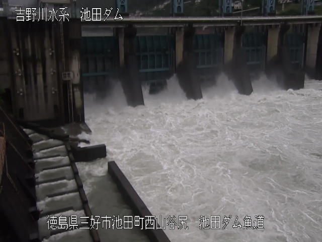 池田ダム魚道 カメラ画像