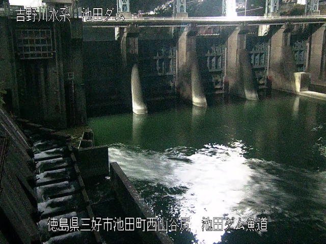 池田ダム魚道 カメラ画像