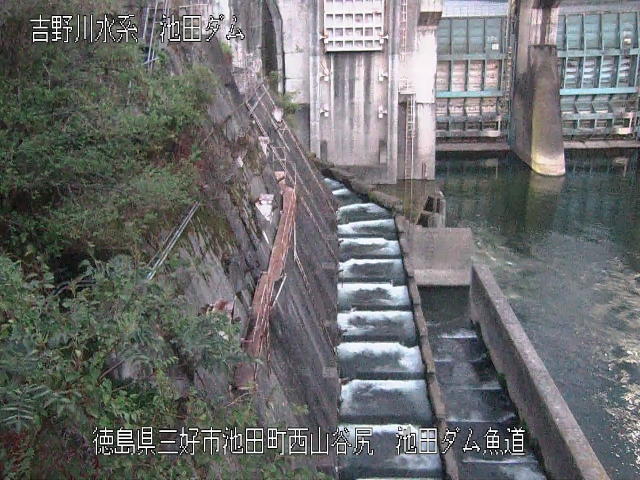 池田ダム魚道 カメラ画像