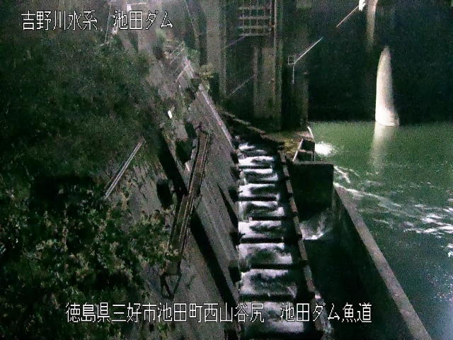池田ダム魚道 カメラ画像