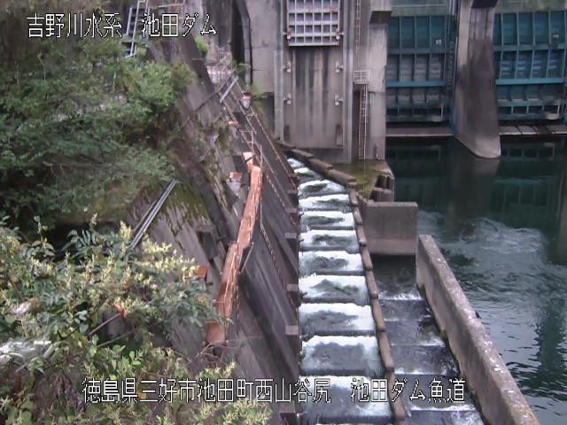 池田ダム魚道 カメラ画像