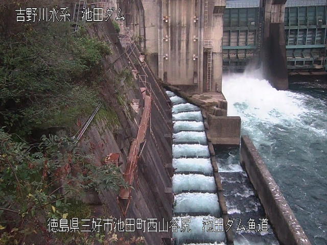 池田ダム魚道 カメラ画像