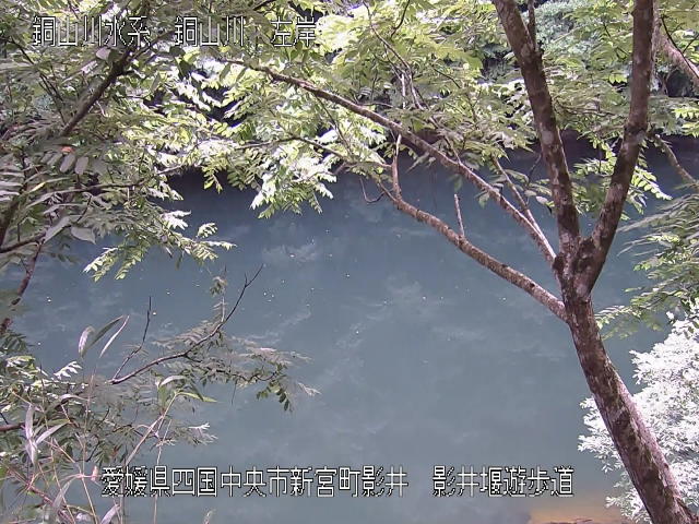 影井堰遊歩道 カメラ画像