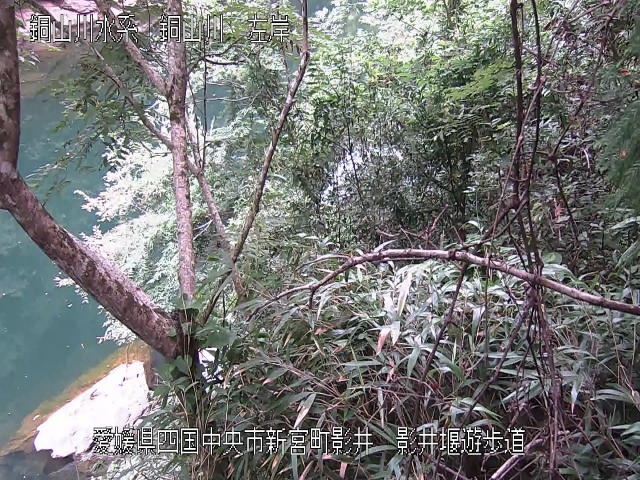 影井堰遊歩道 カメラ画像