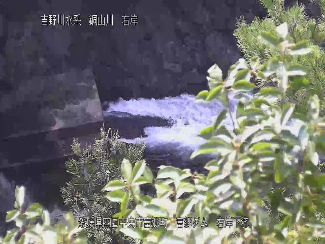 富郷ダム右岸下流 カメラ画像
