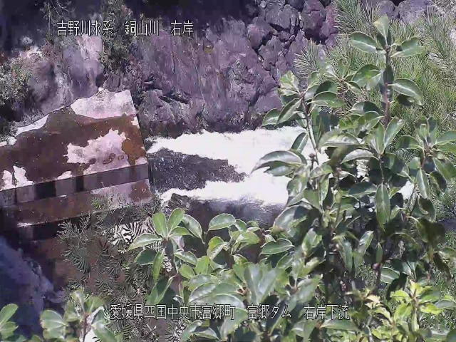 富郷ダム右岸下流 カメラ画像