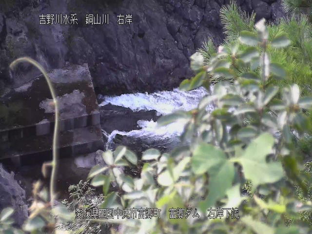 富郷ダム右岸下流 カメラ画像