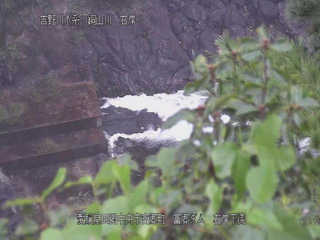 富郷ダム右岸下流 カメラ画像