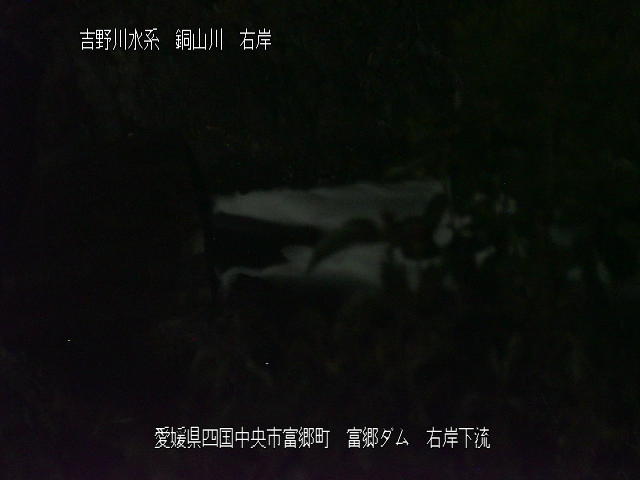 富郷ダム右岸下流 カメラ画像