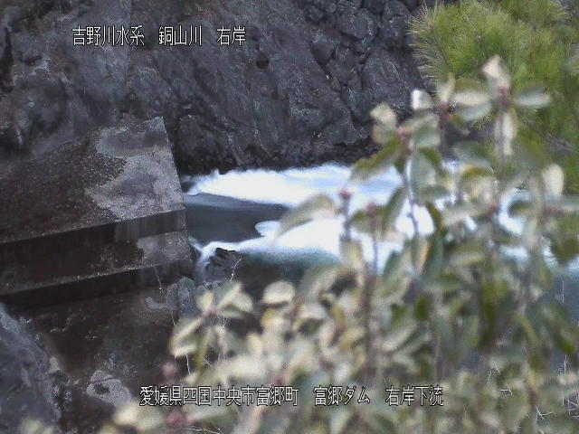富郷ダム右岸下流 カメラ画像