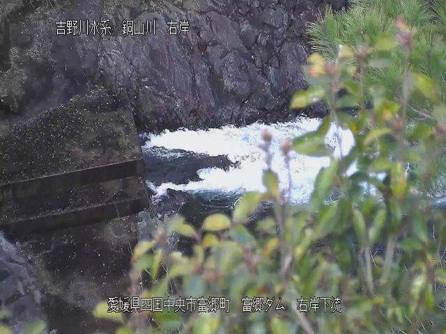 富郷ダム右岸下流 カメラ画像