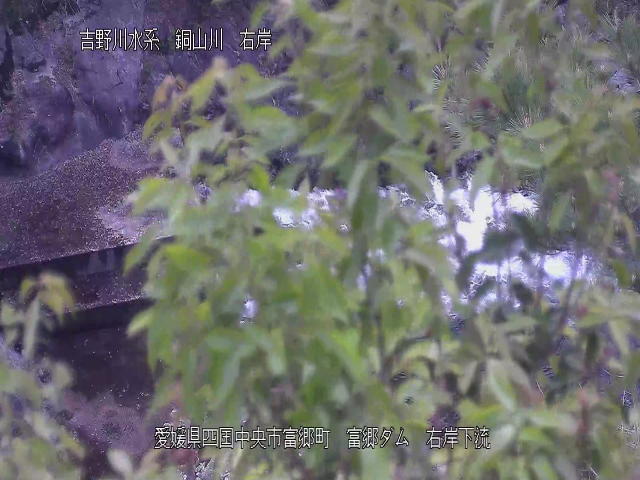 富郷ダム右岸下流 カメラ画像