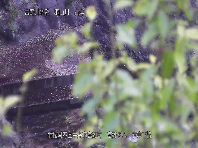 富郷ダム右岸下流 カメラ画像