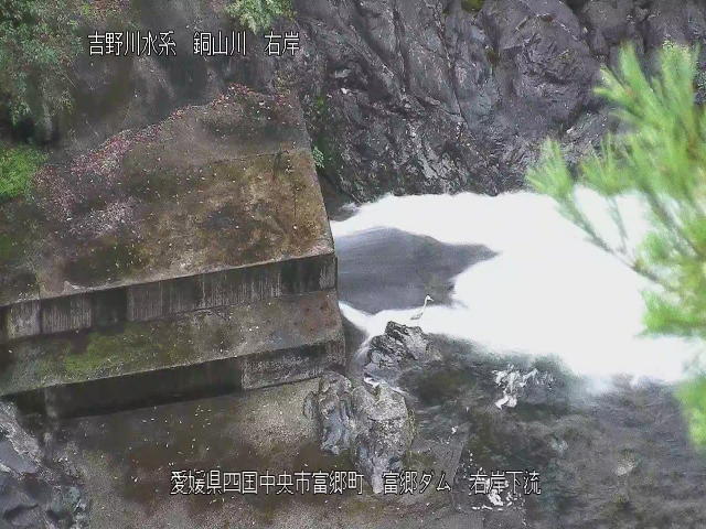 富郷ダム右岸下流 カメラ画像