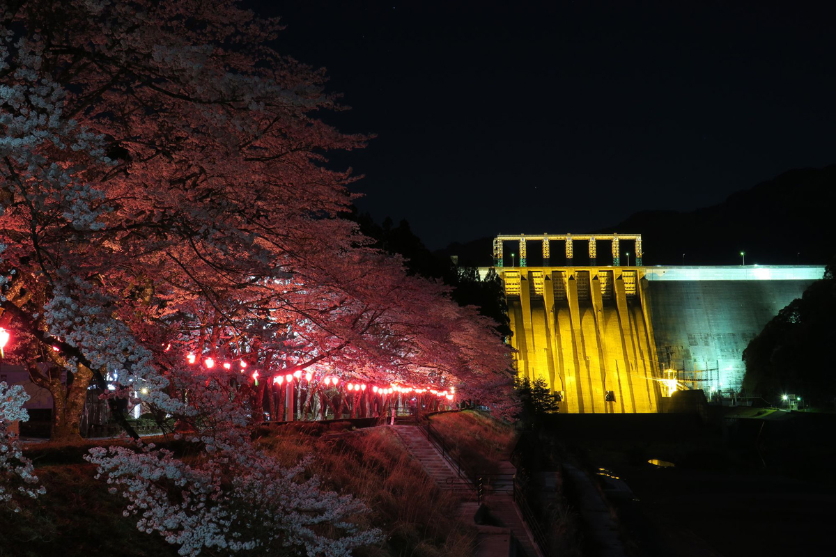 早明浦ダムのライトアップ写真