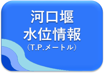 河口堰の水質情報