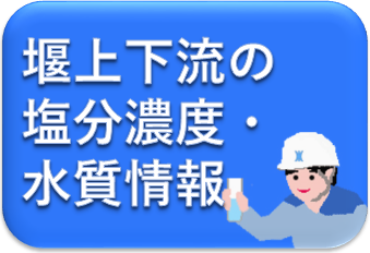 河口堰の水質情報