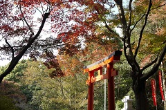 鳥居と紅葉