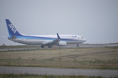 全日空（ＡＮＡ）ボーイング737-800