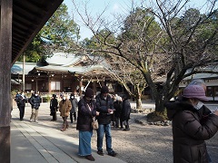 今年の運勢はどうかな