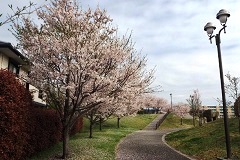 入口風景