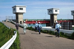 河口堰左岸道路の点検