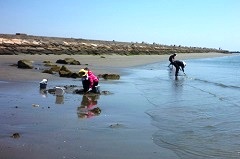 長原地区の浜辺