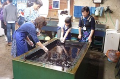 染料に浸けます