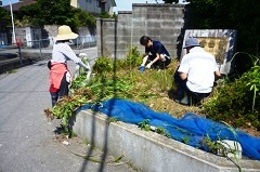 宿舎入り口も除草