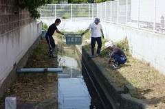 水路周辺を除草