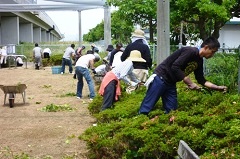 児童公園を除草