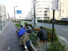 花植えの状況