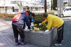 花壇の手入れ