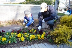 小さな子供も花壇のお手入れ