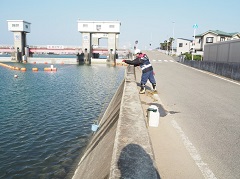 水質分析のために採水